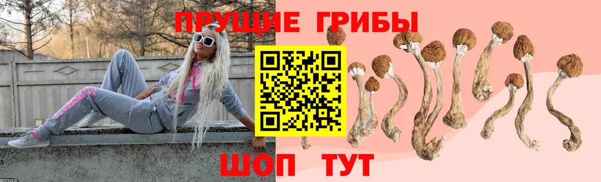 Псилоцибиновые грибы мухоморы  Вход с VPN  Южно-Сахалинск  Псилоцибиновые грибы Psilocybe 